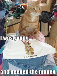 Funny-pictures-cat-was-a-child-model-1