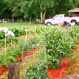 Prod_30237_13525_m Prod_30237_13525_m