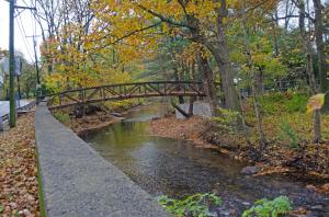 DSC_0012-10_edited-1