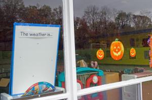 DSC_0021-11_edited-1 DSC_0021-11_edited-1