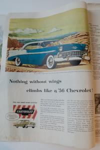 DSC_0017_edited-1 DSC_0017_edited-1