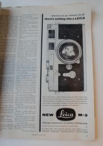 DSC_0016-12_edited-1 DSC_0016-12_edited-1