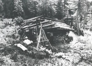 Lykov-family-cabin-Lost-in-the-Taiga-500x363