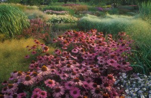 3250883236_97dc67d683_b