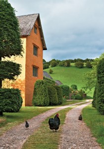 02arena-gardens-custom1