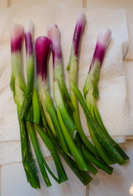 DSC_0046-13_edited-1