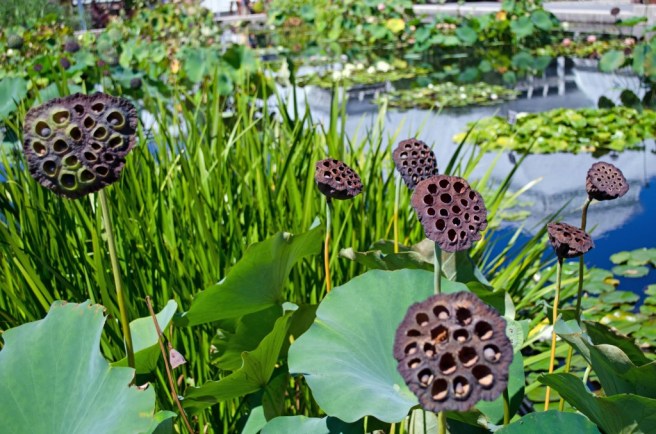 DSC_0032-20_edited-1