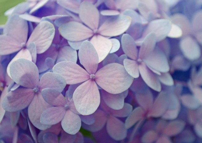 DSC_0037-18_edited-2