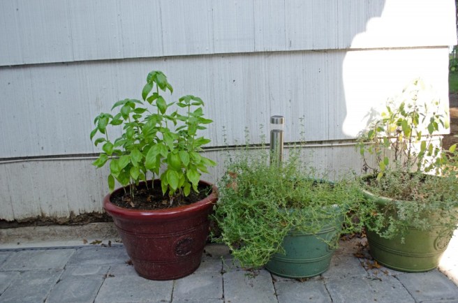 DSC_0062-21_edited-1