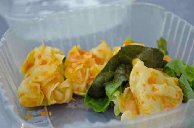 DSC_0071-15_edited-1