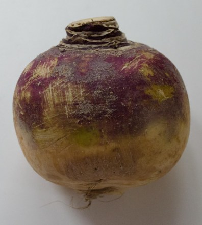 DSC_0082-14_edited-1