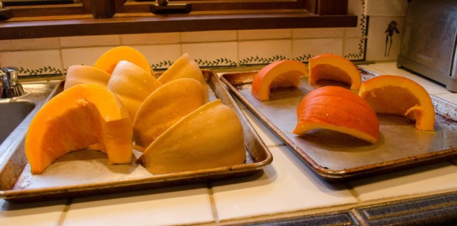 DSC_0013-27_edited-1